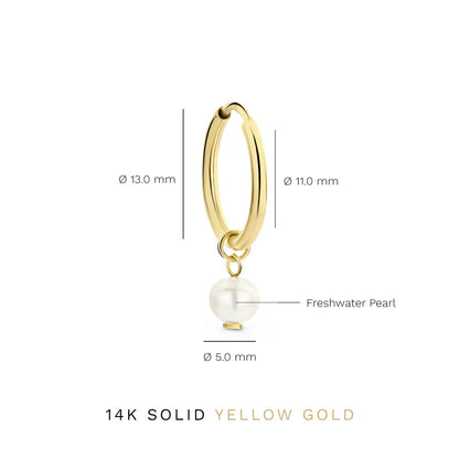 Delia Crest Ohrringe | Gold 14k